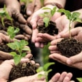 The Power of Non-Profit Organizations in Government and Society