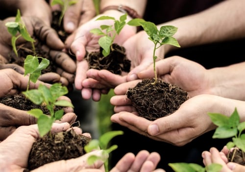The Power of Non-Profit Organizations in Government and Society